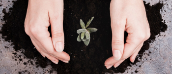 Schermata 2026-04-16 alle 10.22.08